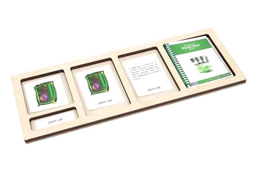 Tray for Nomenclature Cards (5 Parts)