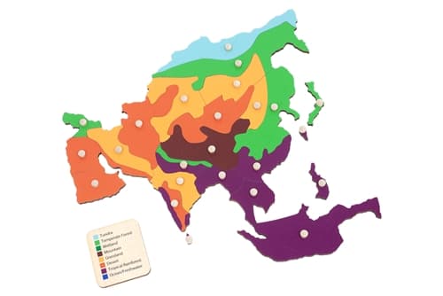 Biomes of Asia Puzzle Map