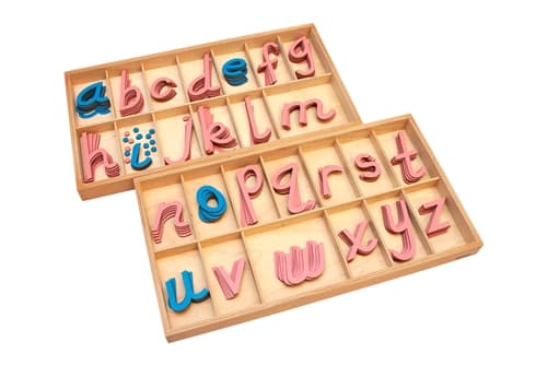 Large Movable Alphabet: D'Nealian Pink & Blue (PQ)