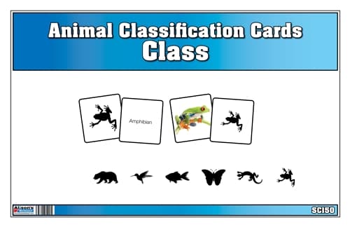 Animal Classification Cards - Class