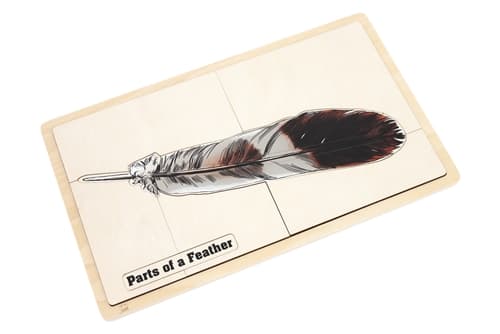 Feather Puzzle with Nomenclature Cards (3–6)