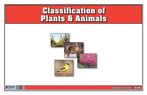 Classification of Plants & Animals