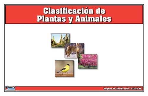 Clasificación de Plantas y Animales