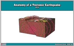 Tectonic Earthquake – Nomenclature Cards (6–9)
