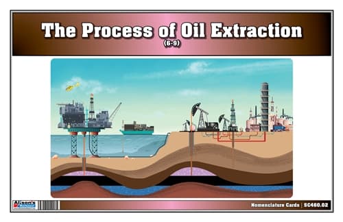 Oil Extraction Process – Cards for Ages 6–9