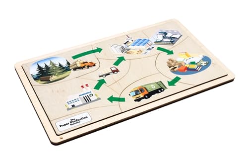 The Paper Production Process Set (6-9)