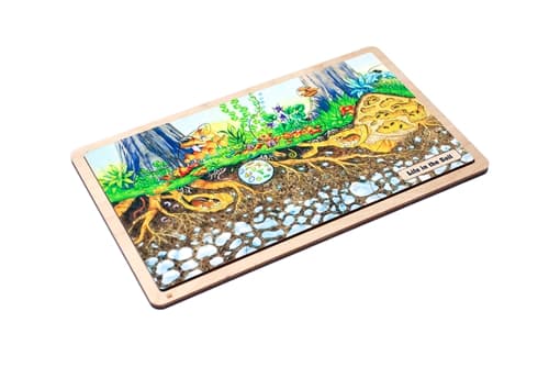 Life in the Soil Puzzle and Cards (6-9)
