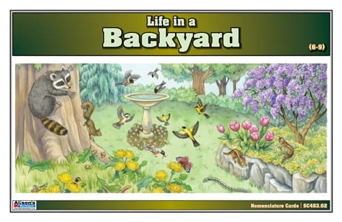 Life in the Backyard – Cards (6–9), Laminate & Cut