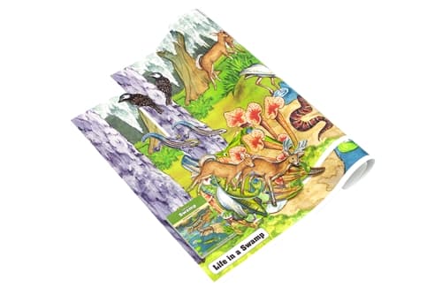 Life in a Swamp Chart