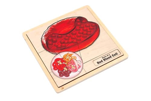 Parts of a Red Blood Cell Puzzle and Cards (3-6)