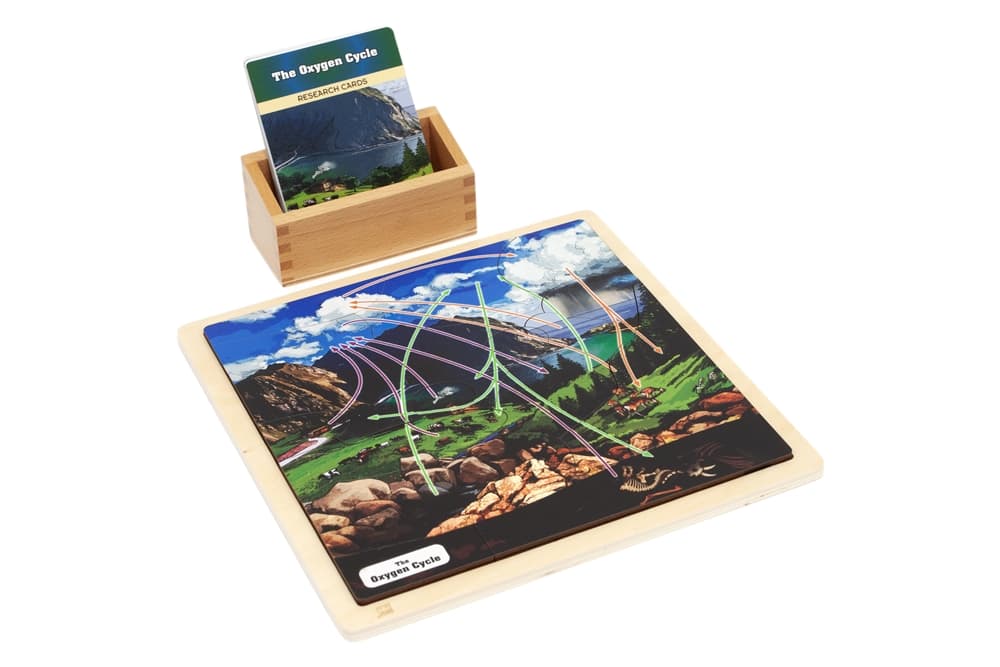 The Oxygen Cycle - Complete Set