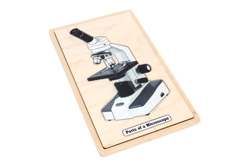 Parts of a Microscope Puzzle