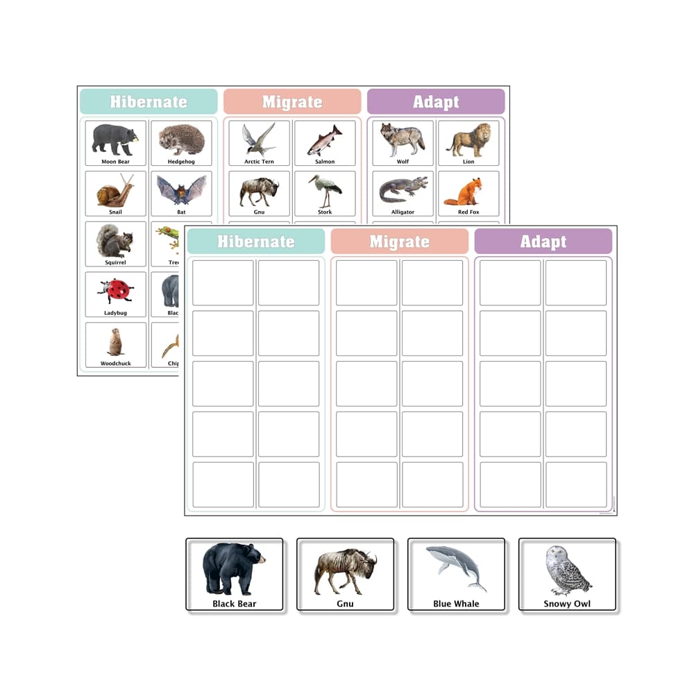 Hibernate, Migrate, and Adapt Charts with Cards