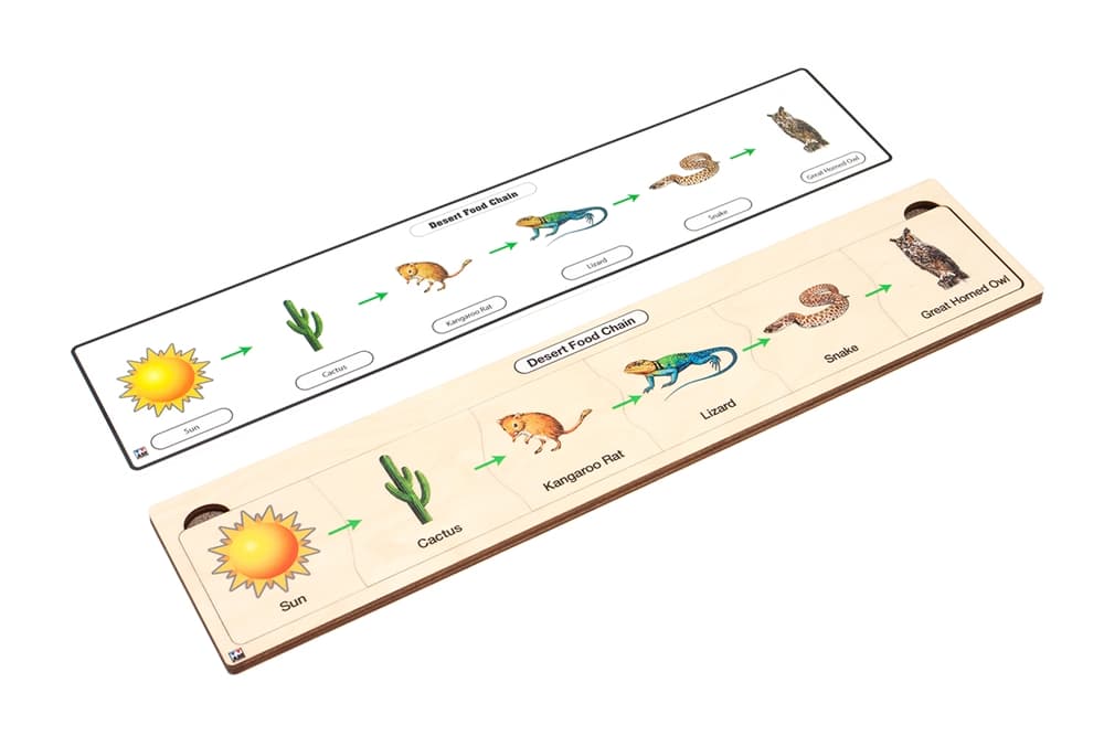 Desert Food Chain Puzzle