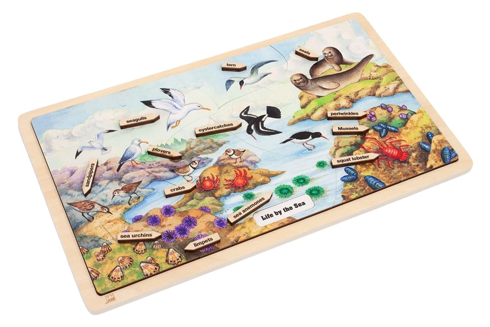 Sea Life – Puzzle with Nomenclature Cards (3–6)