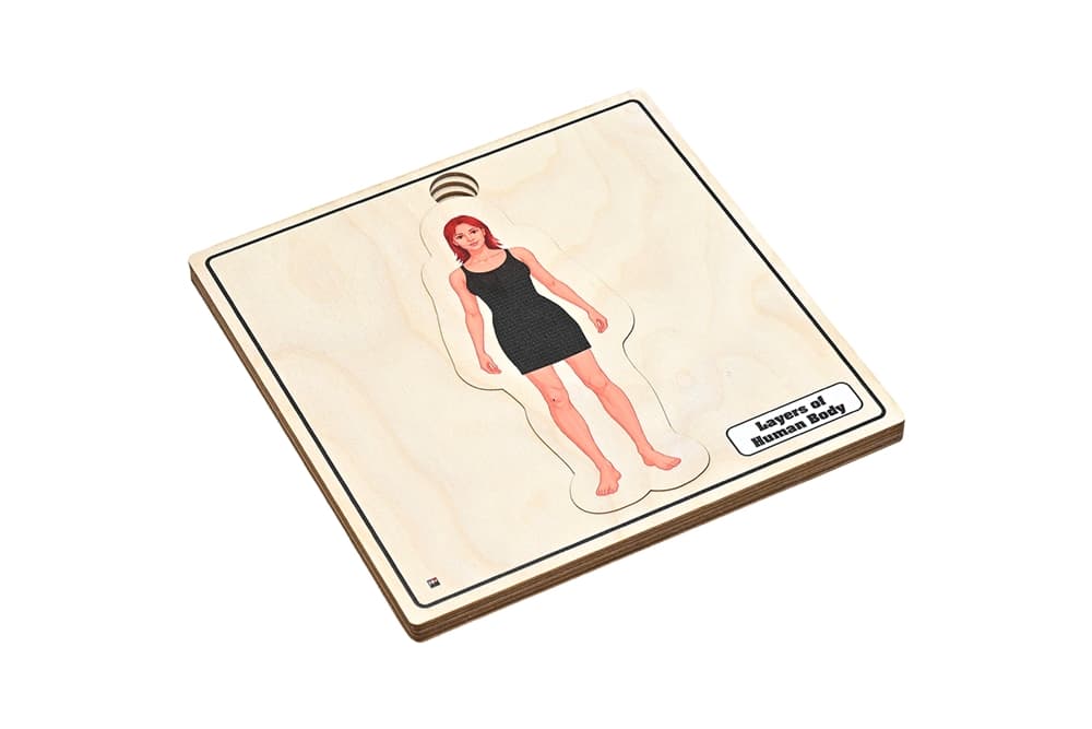 Layers of Human Body Puzzle