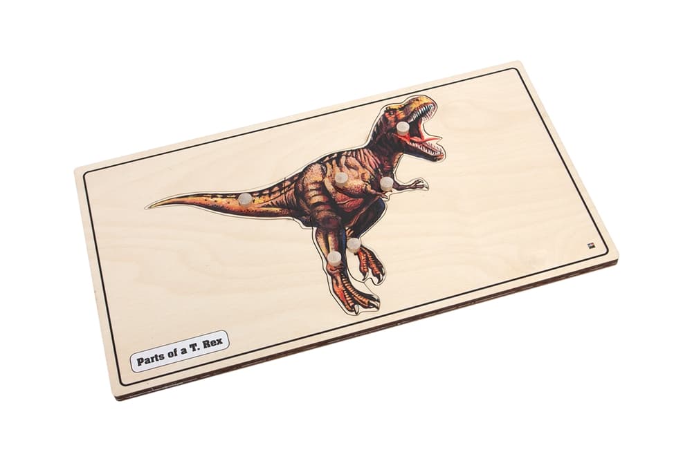 Parts of a T. Rex Puzzle