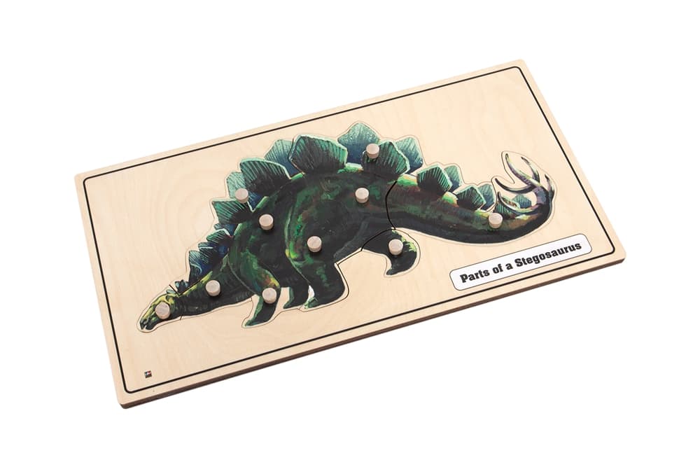 Parts of a Stegosaurus Puzzle with Nomenclature