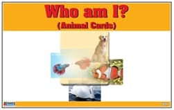 Who am I? Animal Cards