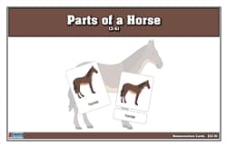 Parts of a Horse Nomenclature Cards (3-6)