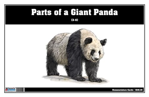 Parts of a Giant Panda Three Part Cards