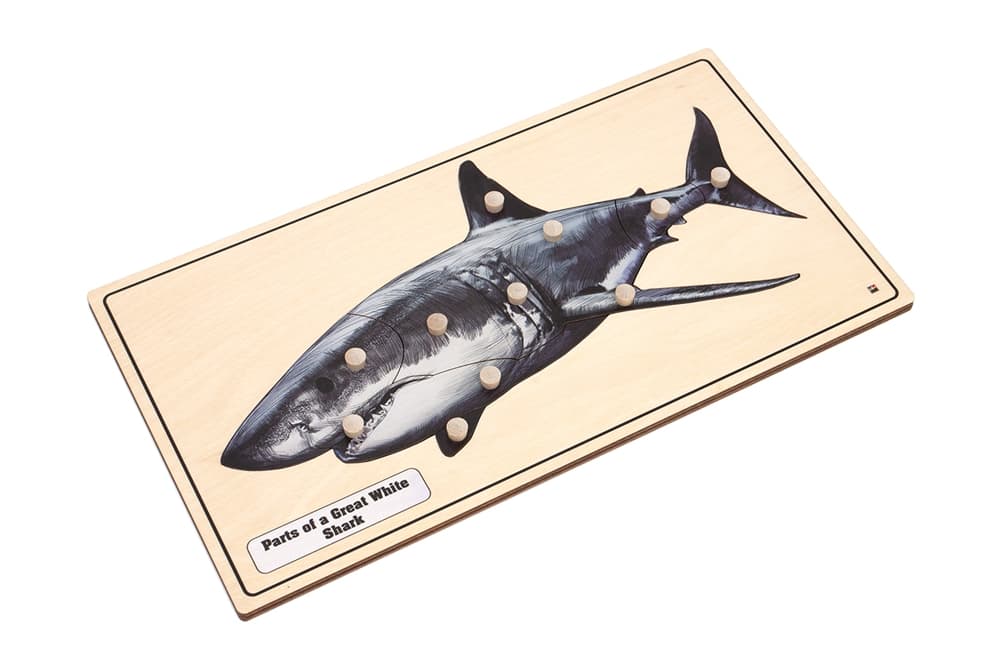 A Great White Shark Puzzle