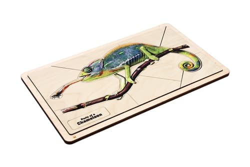 Parts of a Chameleon Puzzle