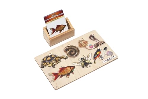Types of Animal Body Covering Set