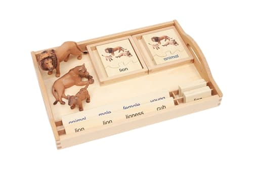 Animal Family - Lion
