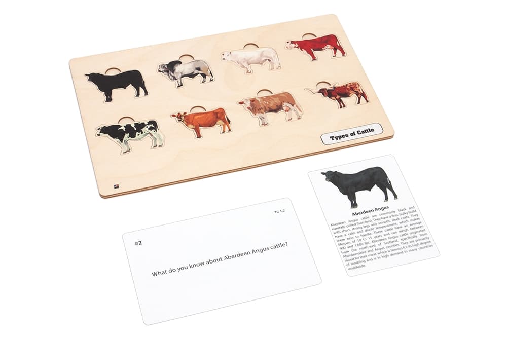 Types of Cattle Complete Set