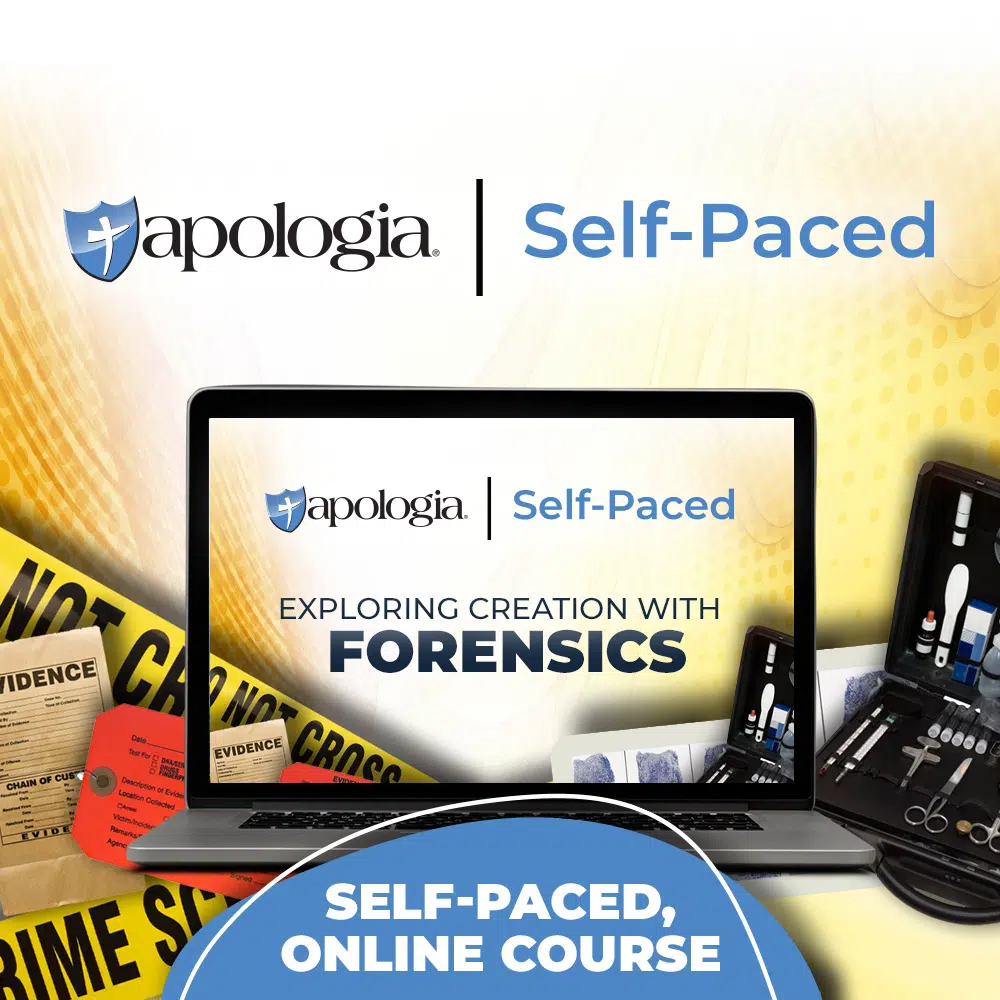 Self-Paced Forensics
