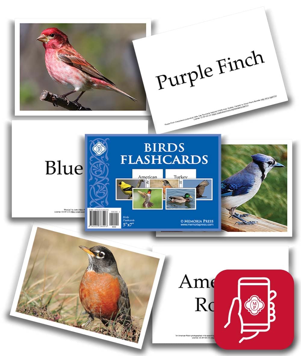 Birds Flashcards (App Access)