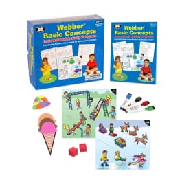 Basic Concepts Instructional Activity Program